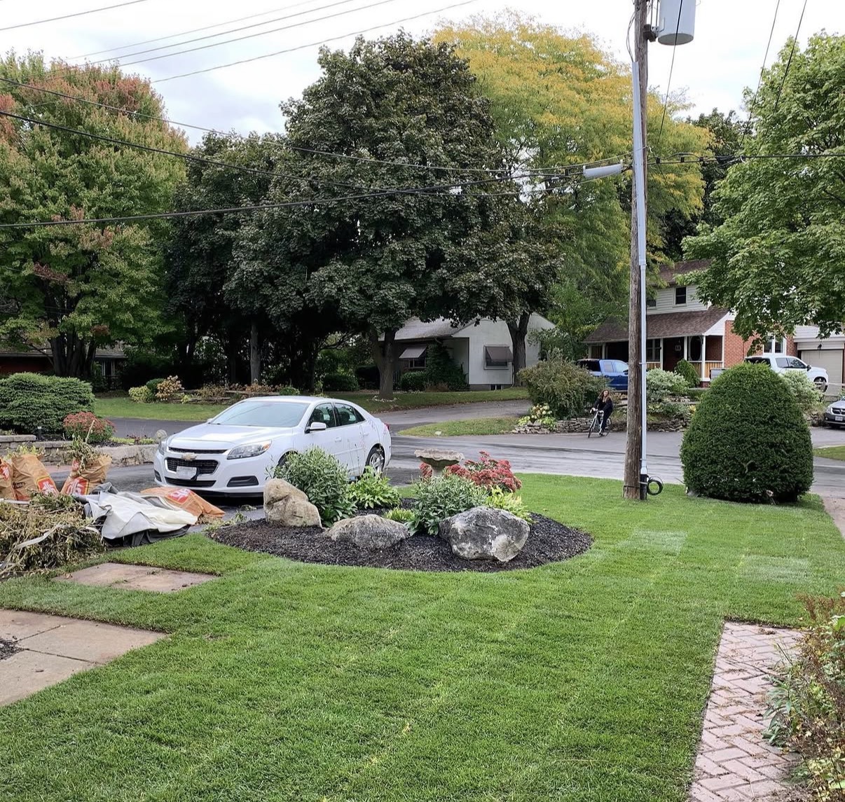 Sod Installation